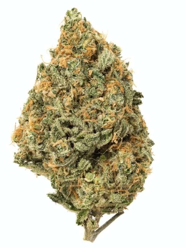 Cherry Diesel, also known as "Cherry Turbo Diesel," is a well-balanced hybrid marijuana strain created by crossing Cherry OG and Turbo Diesel.