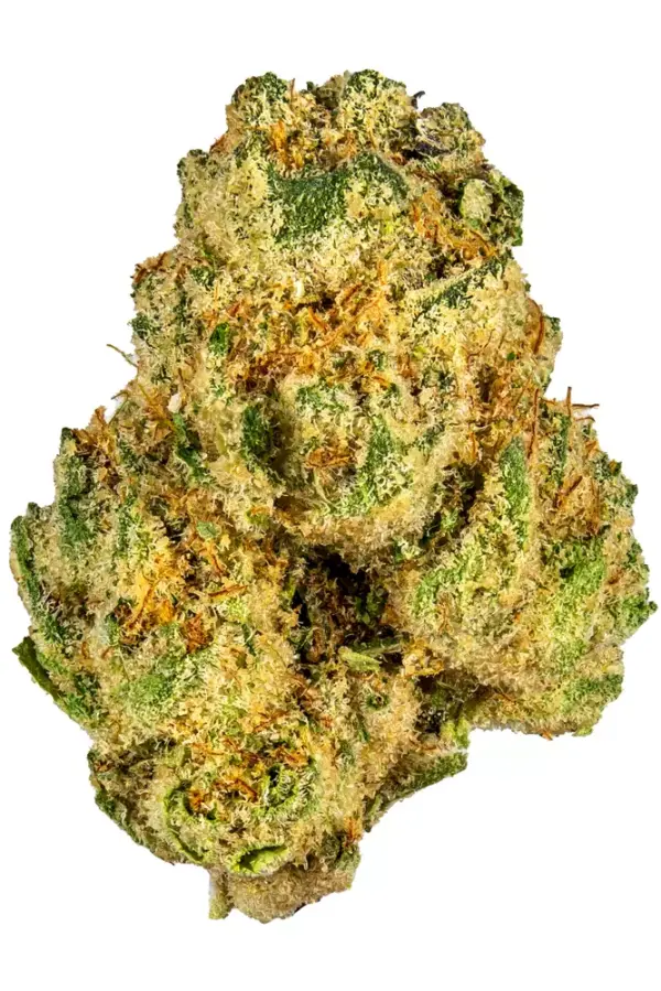 Animal Face, also known as "Animal Face #10," is a rare sativa-dominant hybrid marijuana strain made by crossing Face Off OG and Animal Mints.