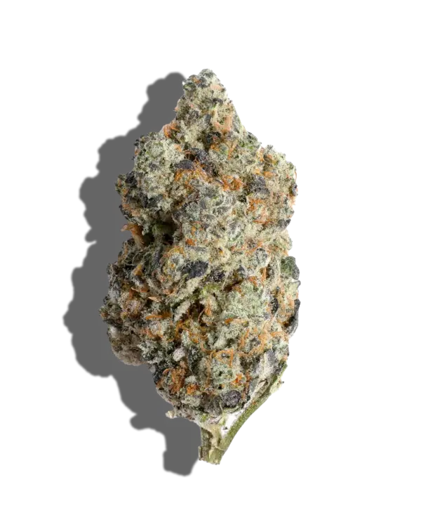 Kush Cake, also known as "Double Kush Cake," is an indica-dominant hybrid marijuana strain made by crossing Cherry Pie with Girl Scout Cookies.