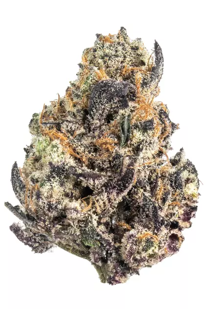 Grape Cake strain is an indica dominant hybrid strain created through crossing the infamous Grape Stomper X Cherry Pie X Wedding Cake strains.