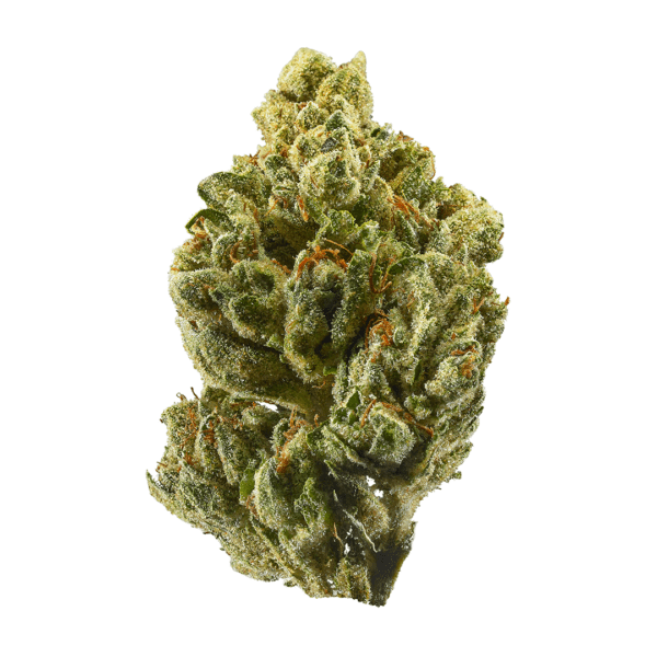 OG Kush, also known as “OGK,” is a slightly sativa dominant hybrid strain (55% sativa/45% indica) with unknown parentage due to breeder ...