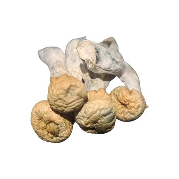 Albino Chodewave – a rare and potent mushroom strain known for its intense effects and unique appearance. Perfect for those seeking a powerful and immersive experience. Buy online now with fast, discreet shipping