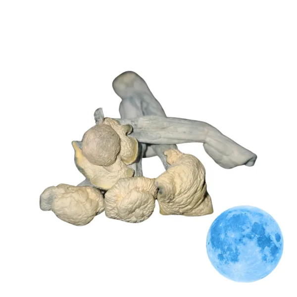 Blue Moon Mushrooms – a rare and powerful strain known for its intense, lucid experiences and uplifting effects. Ideal for those seeking a deep, transformative journey. Buy online now with fast, discreet shipping